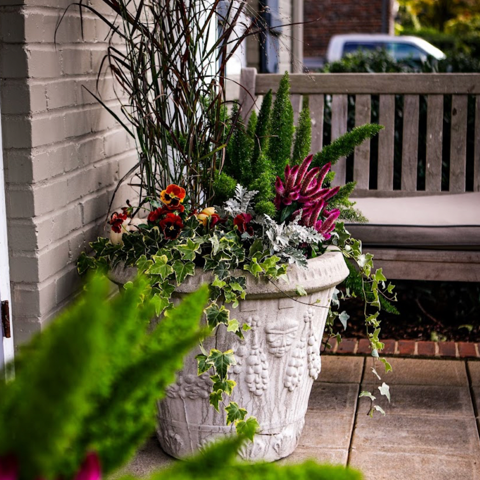 Fall pot filled with green plants and purple, yellow , and red flowers