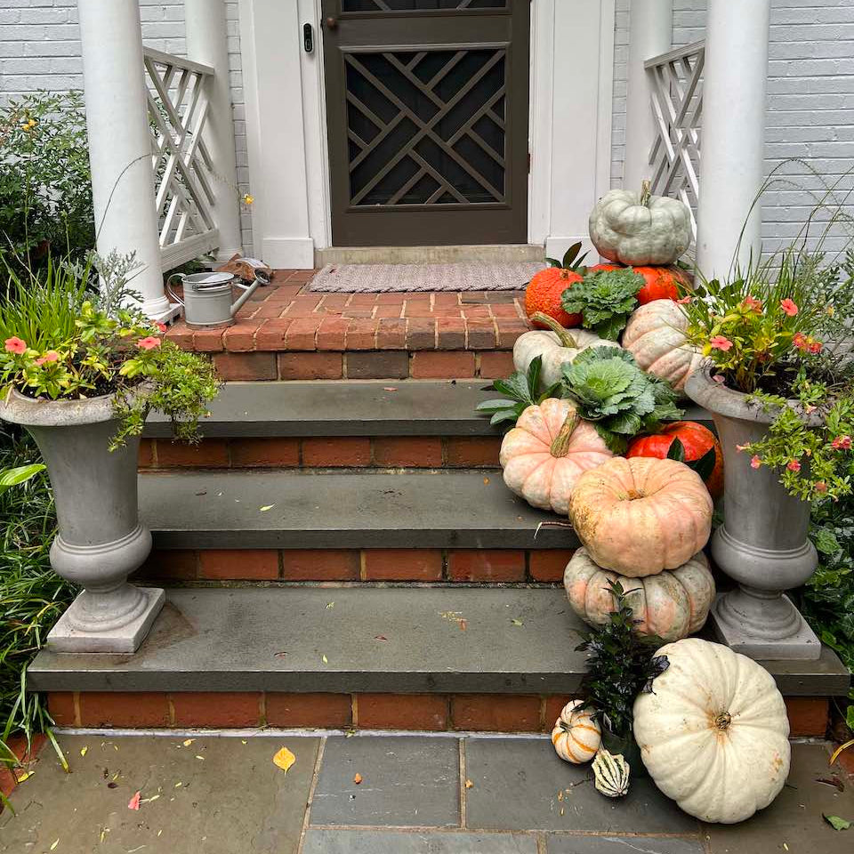 Decorative pumpkins and gourds on a front porch with a white house background