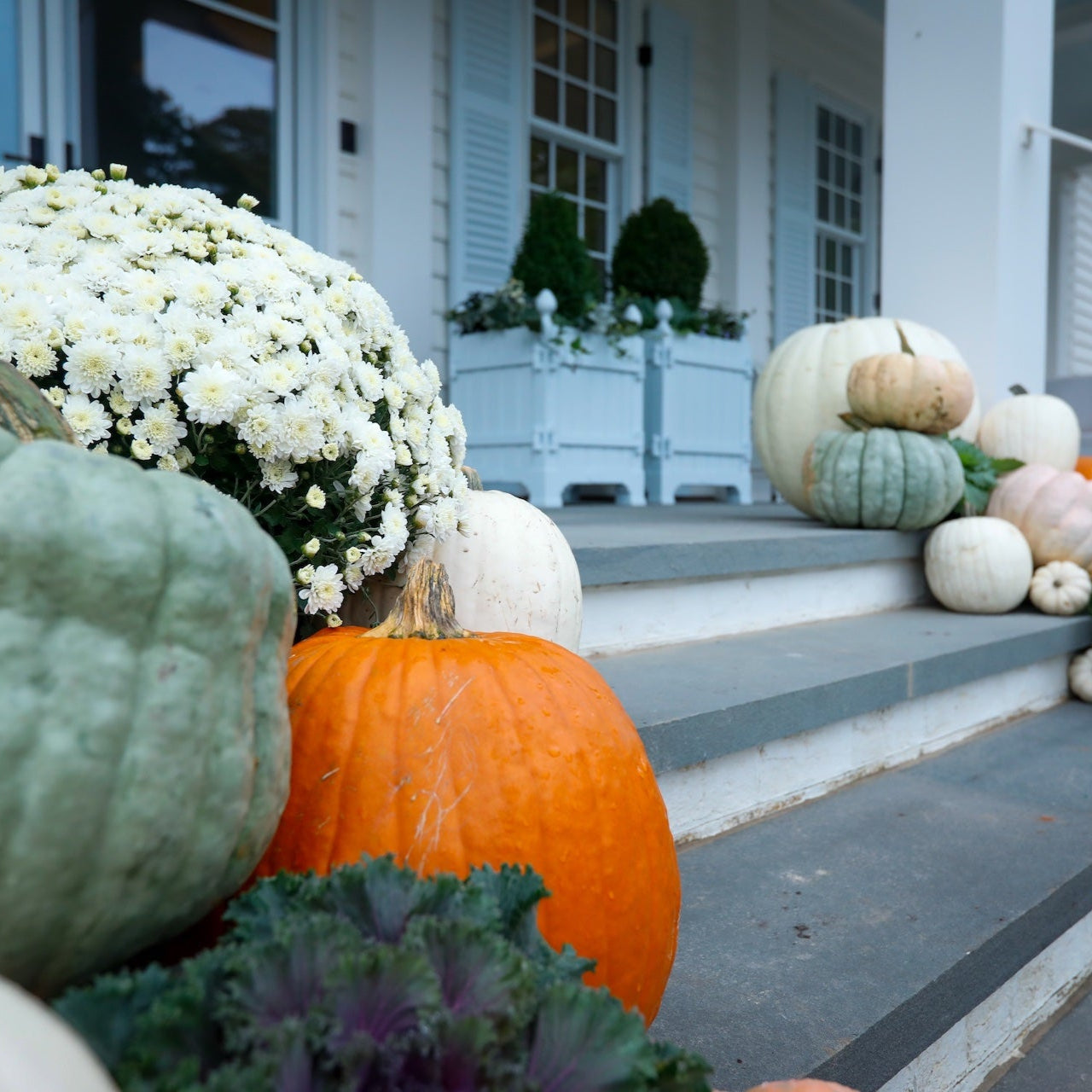 Decorative pumpkins and gourds on a front porch with white flowers.