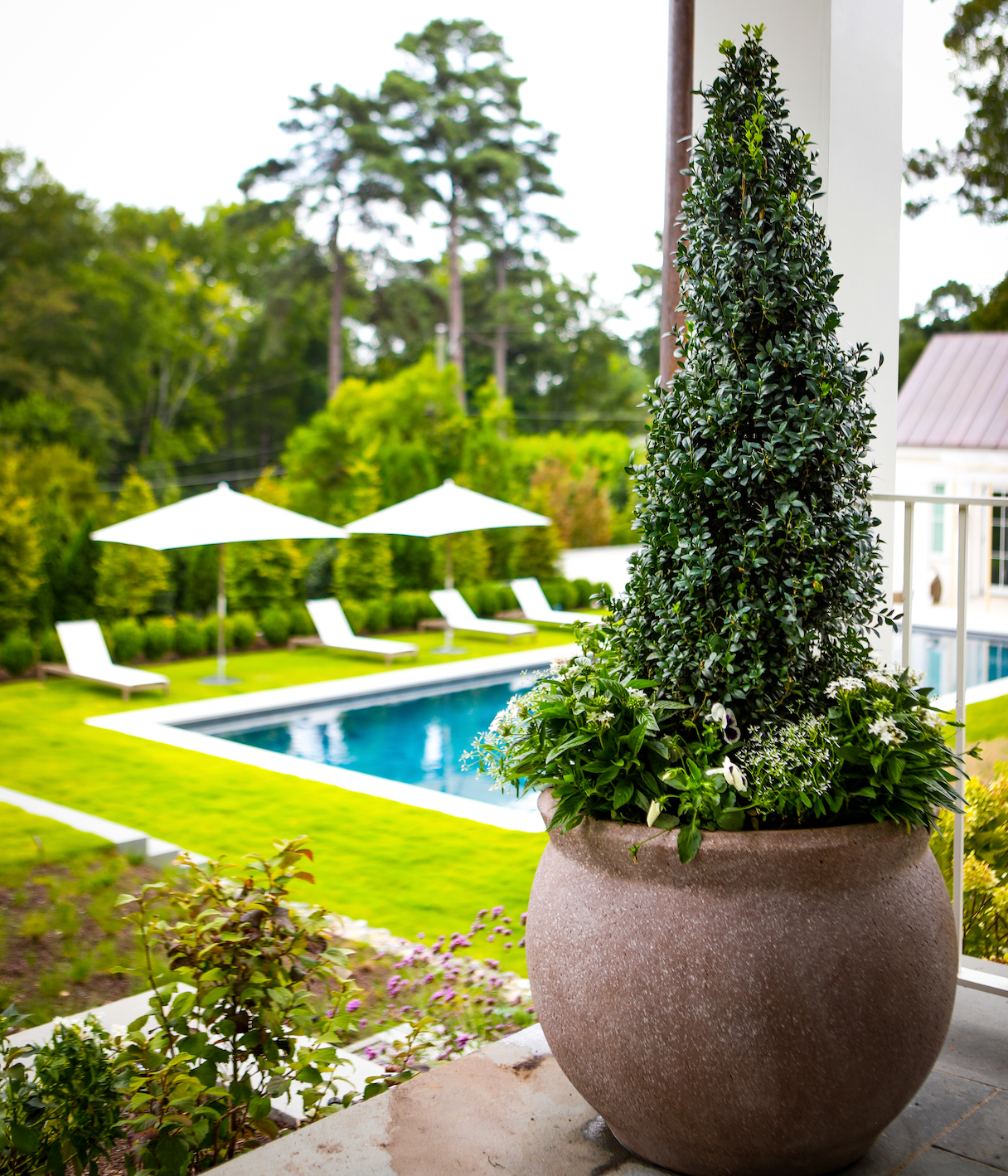 Large terracotta planter arrangement featuring a coned boxwood surrounded by white flowers.   Arrangement is on patio overlooking luxury residential swimming pool. 