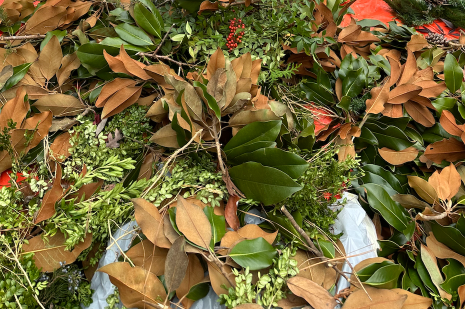 Magnolia, berries, and pine cones that have been removed from holiday Christmas wreath on ground.